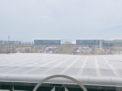 -润复丝·泽发防脱头皮管理