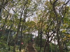 -九曜山