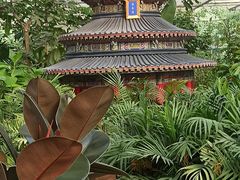 -南宫五洲植物乐园