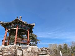 -大兴滨河森林公园