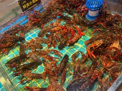 -九月海·海鲜自助(世纪东方店)