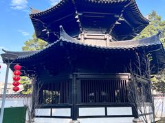 -荔湾湖公园
