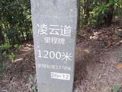 -梧桐山风景名胜区