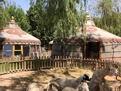 -蒙古大营(朝阳公园店)