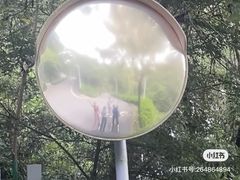 -火炉山森林公园