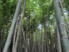 -同里国家湿地公园