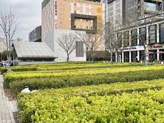 -云顶国际商业广场