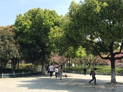 -范蠡湖公园
