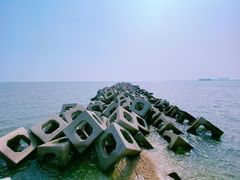 -东疆建设开发纪念公园