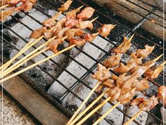 -吴淞炮台湾湿地森林公园烧烤区