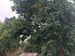 -梁鸿国家湿地公园