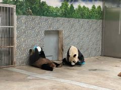 -西安秦岭野生动物园