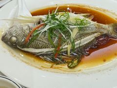 清蒸黄脚立鱼-新享乐海鲜(翠华路店)
