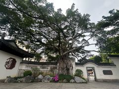 -墨池公园