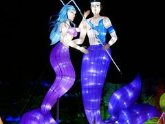 -哈尔滨文化公园