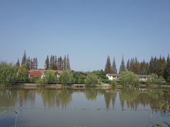 -上海长兴岛郊野公园