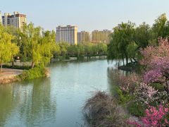 -禹州森林植物园