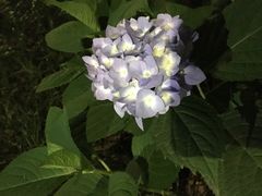 -杭州城北体育公园