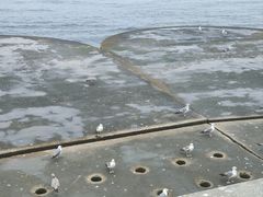 -星海广场