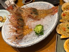 -月龍吟(朝龙汇店)