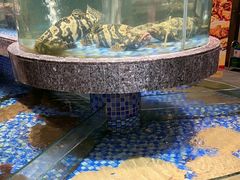 -海派美食·家宴海鲜青岛菜·石锅鲽鱼头(东方城店)