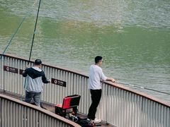 -银湖山郊野公园-相思林