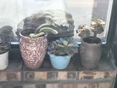 -遇见小院·长思缘农家院(怀柔店)