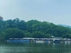 -东莞市虎英郊野公园