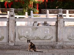 -宝通禅寺