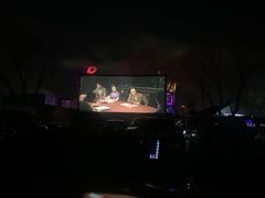 -枫花园汽车电影院(朝阳公园店)