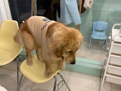 -怪兽屋·羊驼·猫咖·狗咖(俊华广场店)