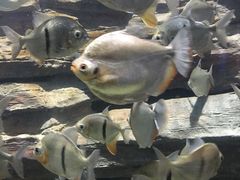 -多彩贵州城极地海洋世界