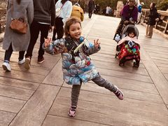 -海底巡游艇:尼莫和好友的海洋世界