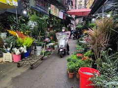 -循礼门鲜花花市(武汉循礼门店)