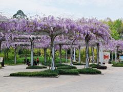 -黄龙溪欢乐田园