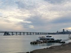 -星海湾跨海大桥