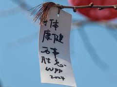 -钱王祠