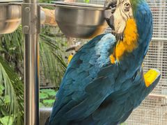 -观桥阁(锦溪店)