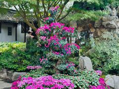 -上海醉白池公园