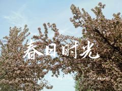 -海棠花溪(元大都城垣遗址公园)