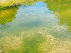 -海南热带雨林国家公园吊罗山景区