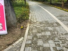 -梁鸿国家湿地公园