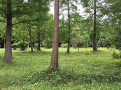 -蜀冈西峰生态公园