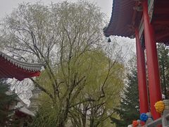 -哈尔滨极乐寺