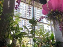 -芭缇沁园椰子鸡(中航紫金新天地店)
