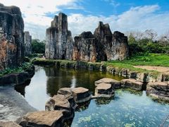 -海南热带野生动植物园