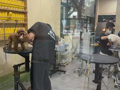 -喜洋洋宠物医院(震川路总店)