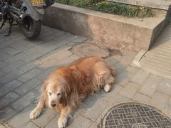 -云来集茶舍(国子监街店)