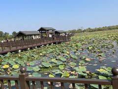 -天津东丽湖风景区