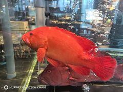 -新荣记(新源南路店)